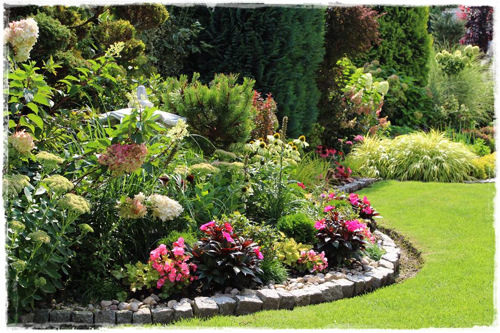 Rabata z hortensjami i trawami 3d Rabata z hortensjami i trawami 3d