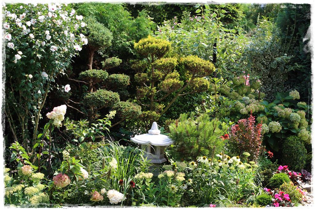 Rabata z hortensjami i trawami 3e Rabata z hortensjami i trawami 3e