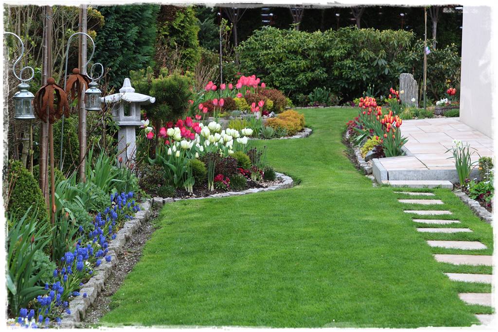 Rabata z hortensjami i trawami 4 Rabata z hortensjami i trawami 4