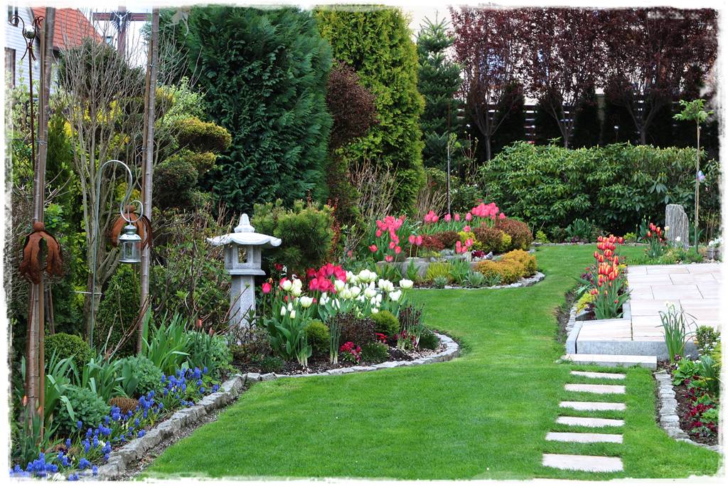 Rabata z hortensjami i trawami 4b Rabata z hortensjami i trawami 4b