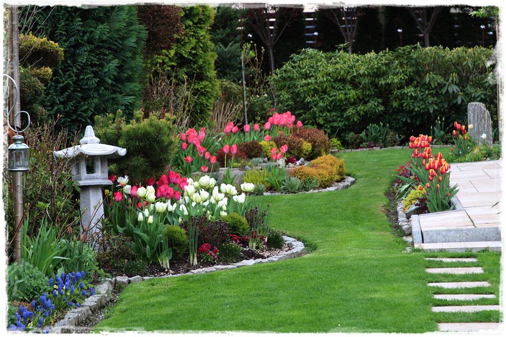 Rabata z hortensjami i trawami 5 Rabata z hortensjami i trawami 5