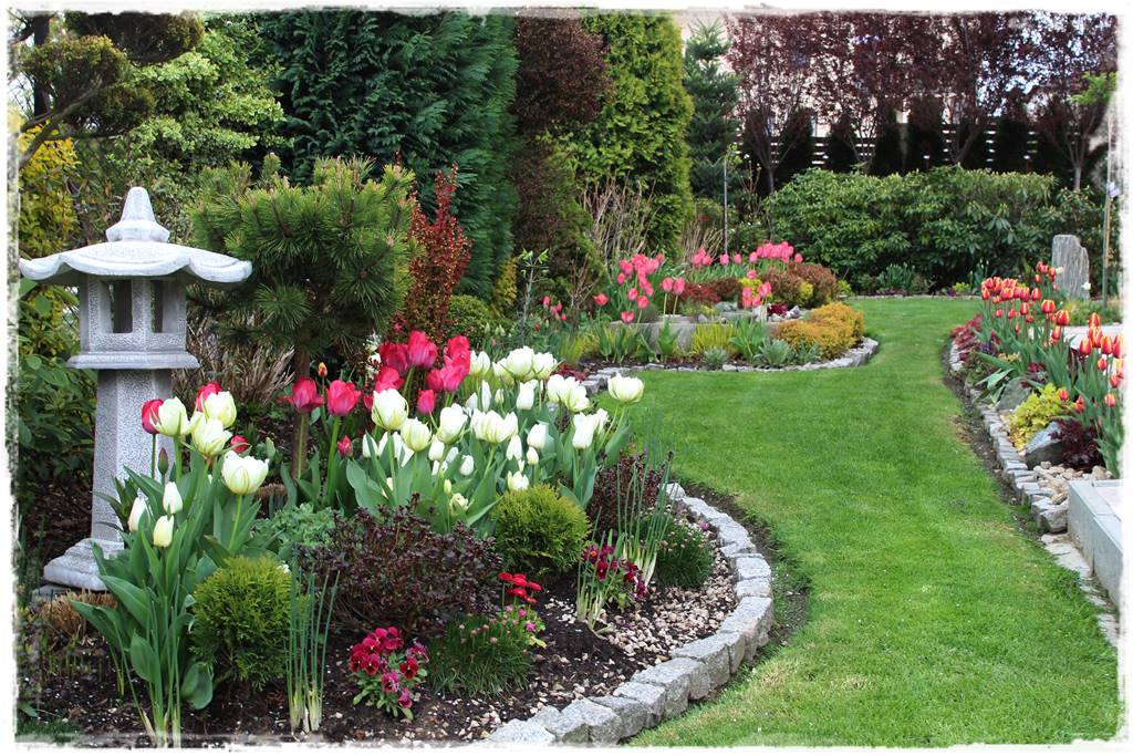 Rabata z hortensjami i trawami 5b Rabata z hortensjami i trawami 5b