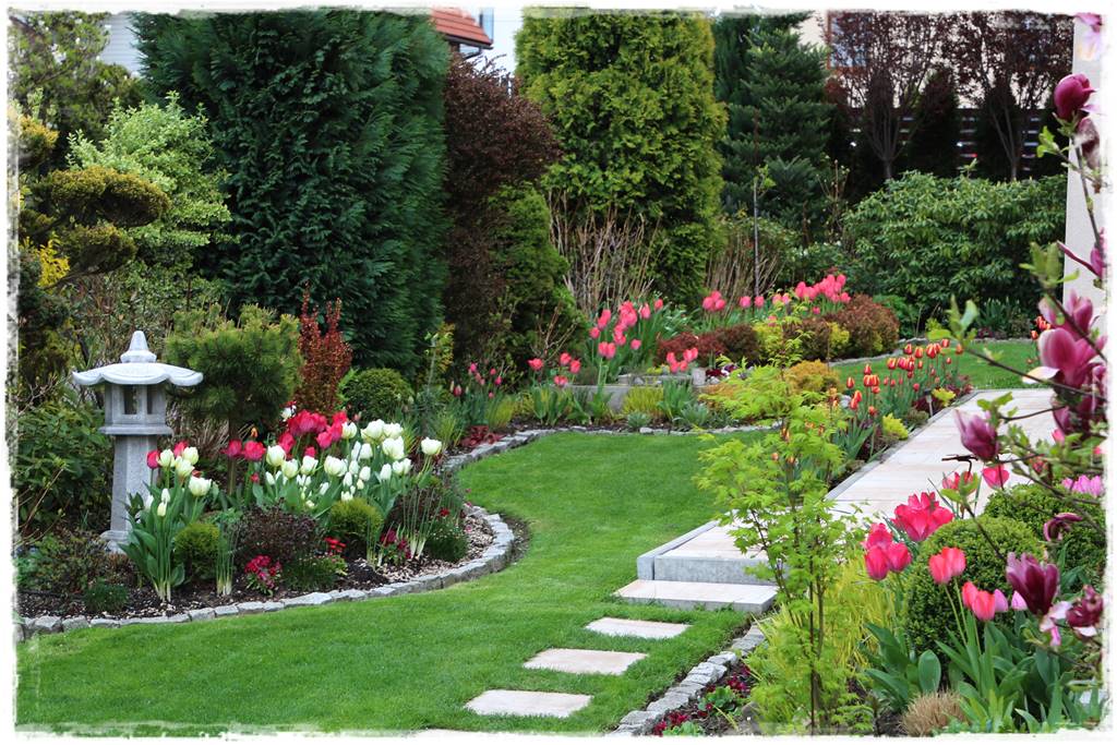 Rabata z hortensjami i trawami 5c Rabata z hortensjami i trawami 5c