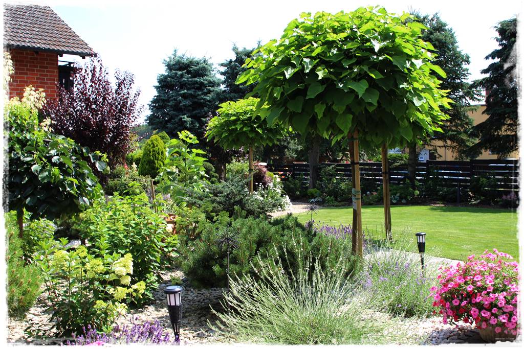 Rabata z lawendą 10