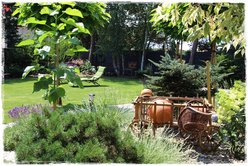 Rabata z lawendą 11