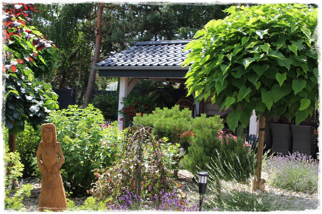 Rabata z lawendą 13