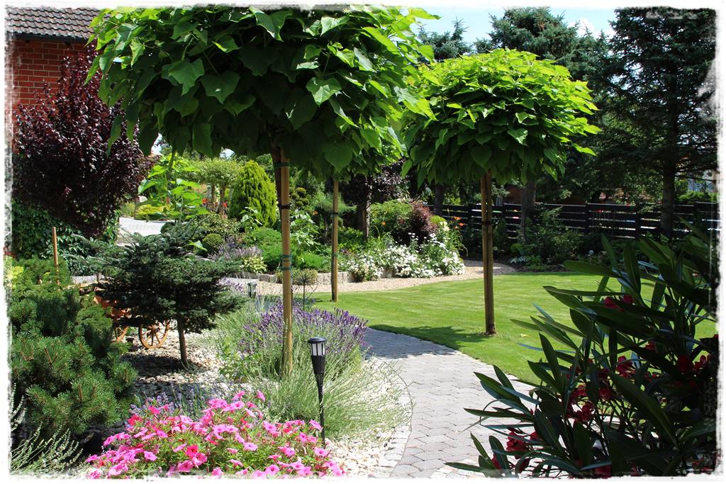 Rabata z lawendą 15