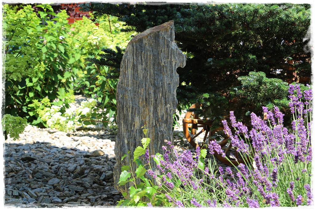 Rabata z lawendą 16