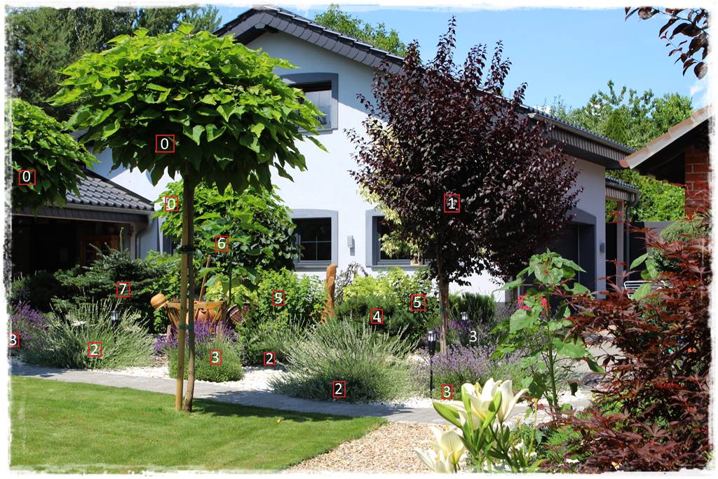 Rabata z lawendą 7