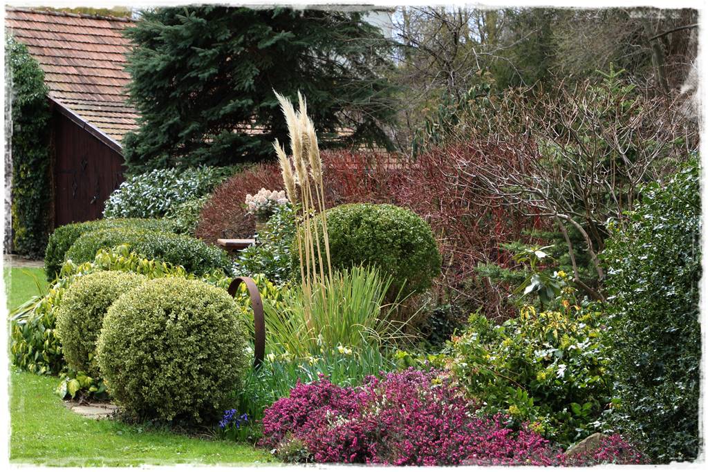 Wrzos i wrzosiec jak je rozróżnić 14