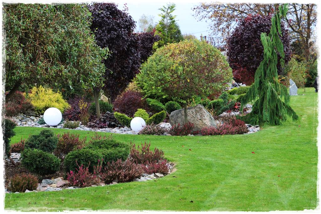 Wrzosy w ogrodzie aranżacje 47 Wrzosy w ogrodzie aranżacje 47