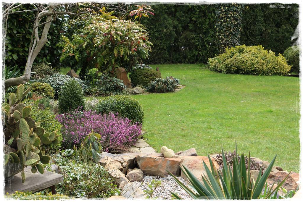 Wrzosy w ogrodzie aranżacje 64 Wrzosy w ogrodzie aranżacje 64