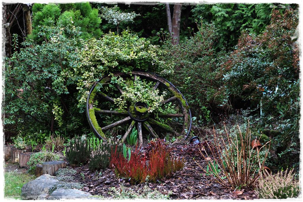 Wrzosy w ogrodzie aranżacje 71 Wrzosy w ogrodzie aranżacje 71