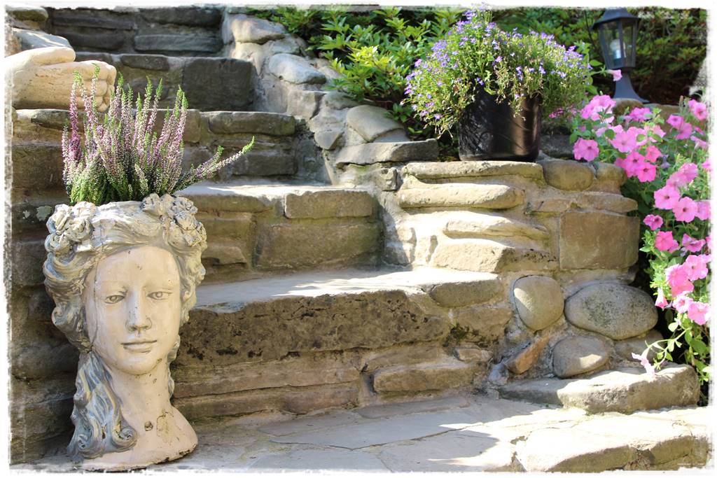 Wrzosy w ogrodzie aranżacje 81 Wrzosy w ogrodzie aranżacje 81