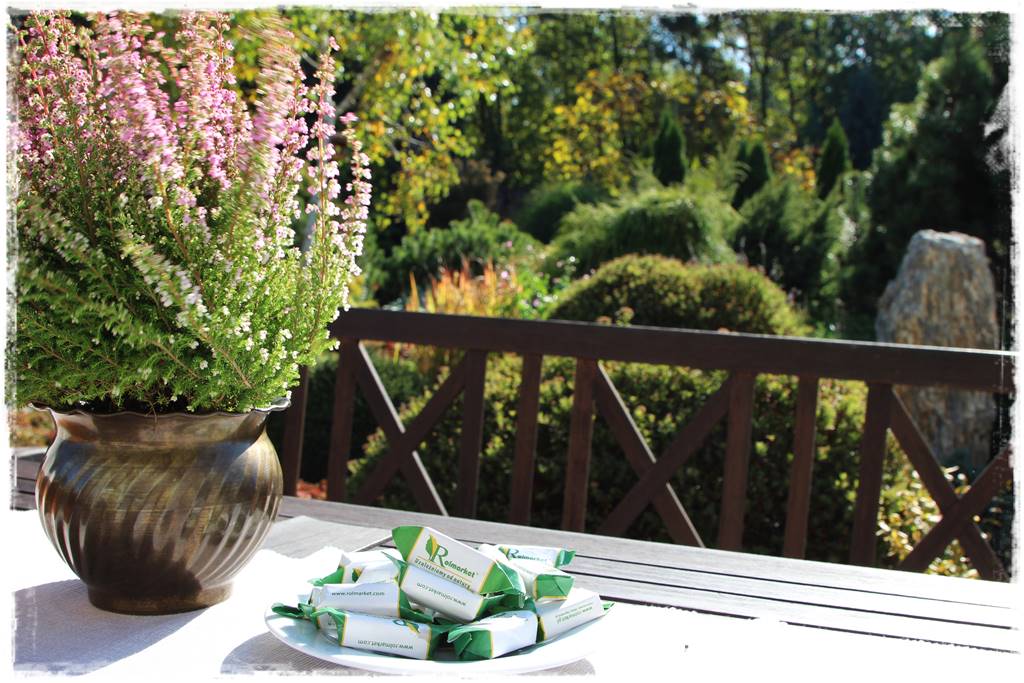 Wrzosy w ogrodzie aranżacje 82 Wrzosy w ogrodzie aranżacje 82