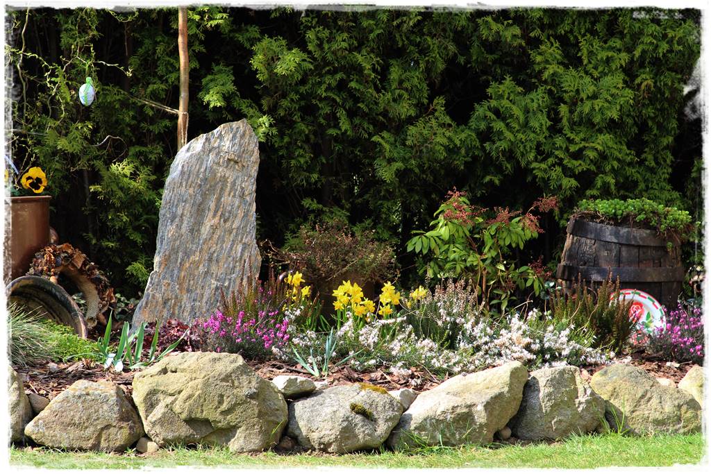 Wrzosy w ogrodzie aranżacje 91