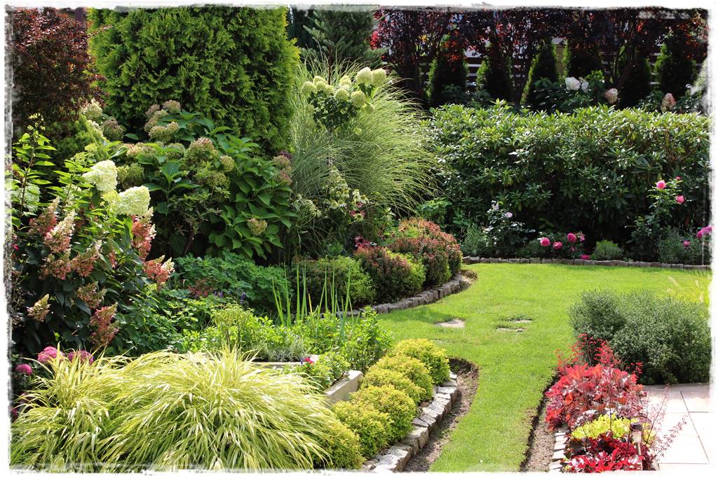 Żurawka w ogrodzie aranżacje 10 Żurawka w ogrodzie aranżacje 10