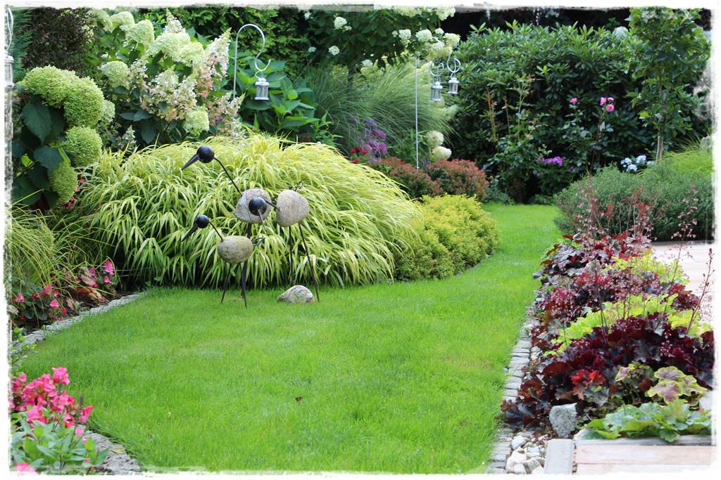 Żurawka w ogrodzie aranżacje 10b Żurawka w ogrodzie aranżacje 10b