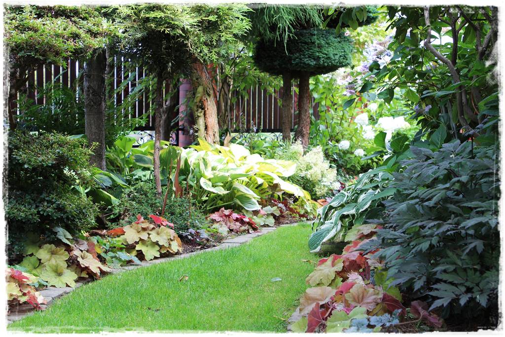 Żurawka w ogrodzie aranżacje 2 Żurawka w ogrodzie aranżacje 2