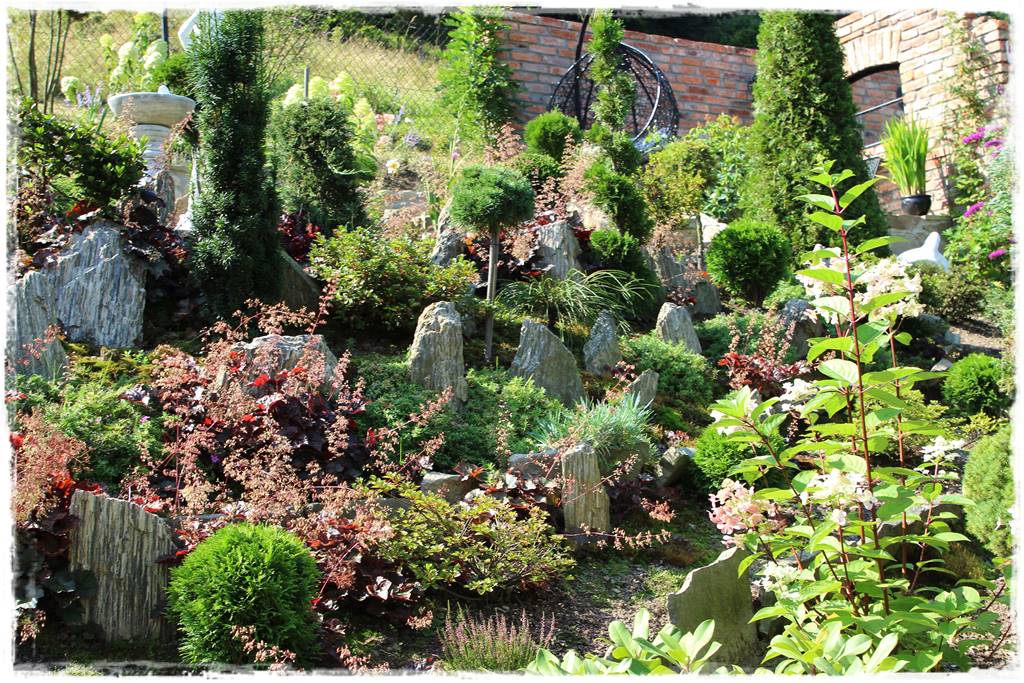 Żurawka w ogrodzie aranżacje 20b Żurawka w ogrodzie aranżacje 20b