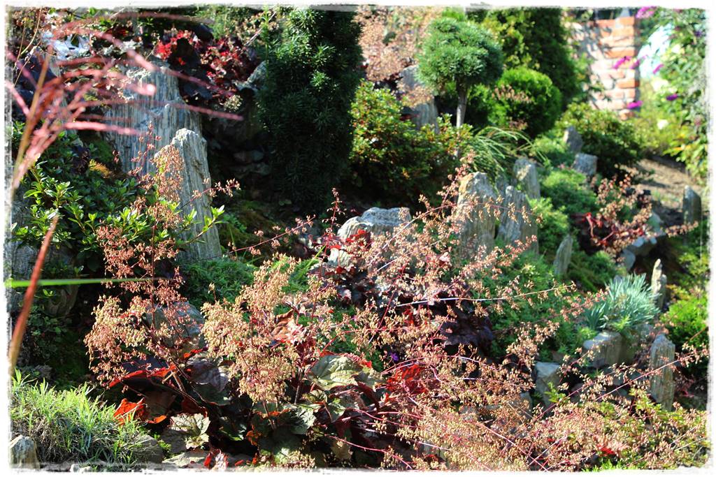 Żurawka w ogrodzie aranżacje 20c Żurawka w ogrodzie aranżacje 20c