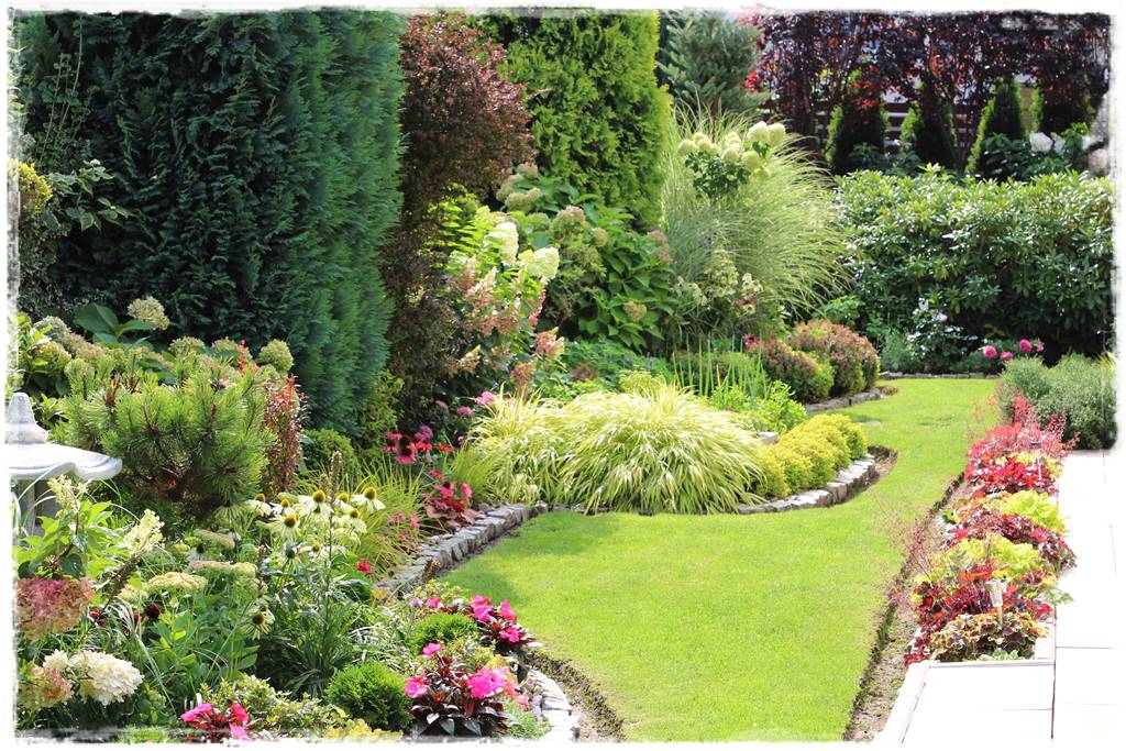 Żurawka w ogrodzie aranżacje 3 Żurawka w ogrodzie aranżacje 3