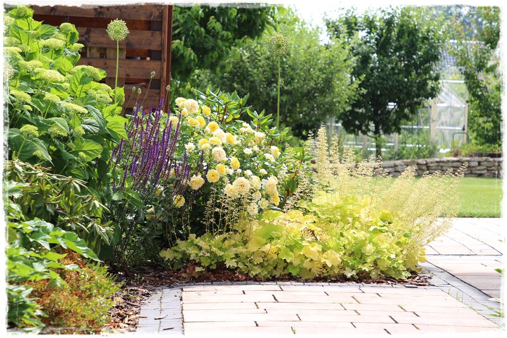 Żurawka w ogrodzie aranżacje 4 Żurawka w ogrodzie aranżacje 4