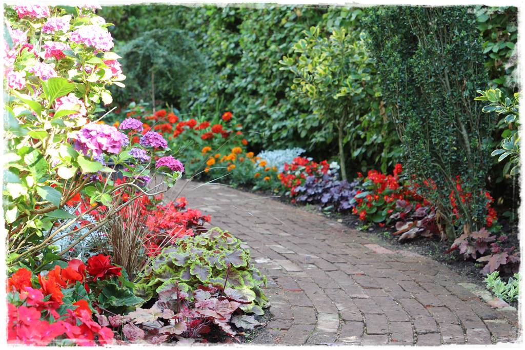 Żurawka w ogrodzie aranżacje 40b Żurawka w ogrodzie aranżacje 40b