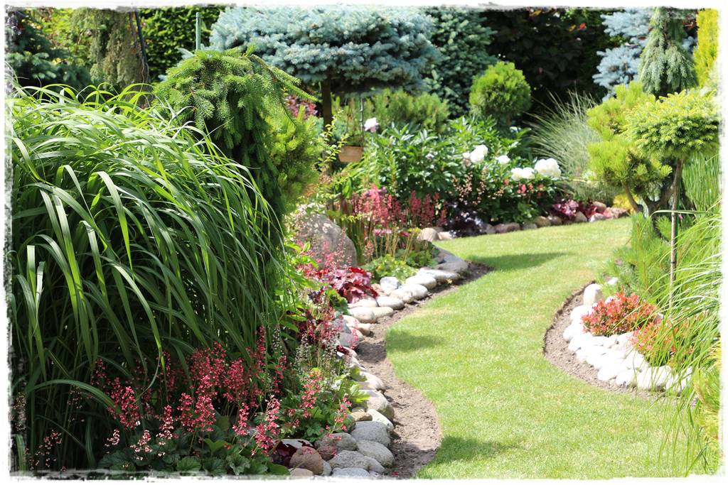 Żurawka w ogrodzie aranżacje 50 Żurawka w ogrodzie aranżacje 50