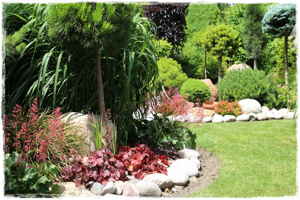 Żurawka w ogrodzie aranżacje 50b Żurawka w ogrodzie aranżacje 50b