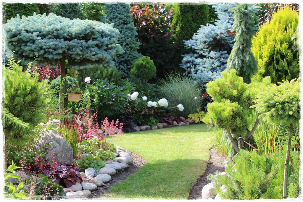 Żurawka w ogrodzie aranżacje 50d Żurawka w ogrodzie aranżacje 50d