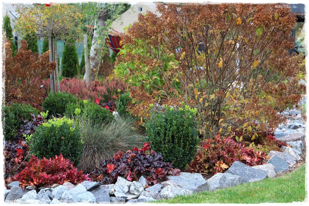 Żurawka w ogrodzie aranżacje 50e Żurawka w ogrodzie aranżacje 50e