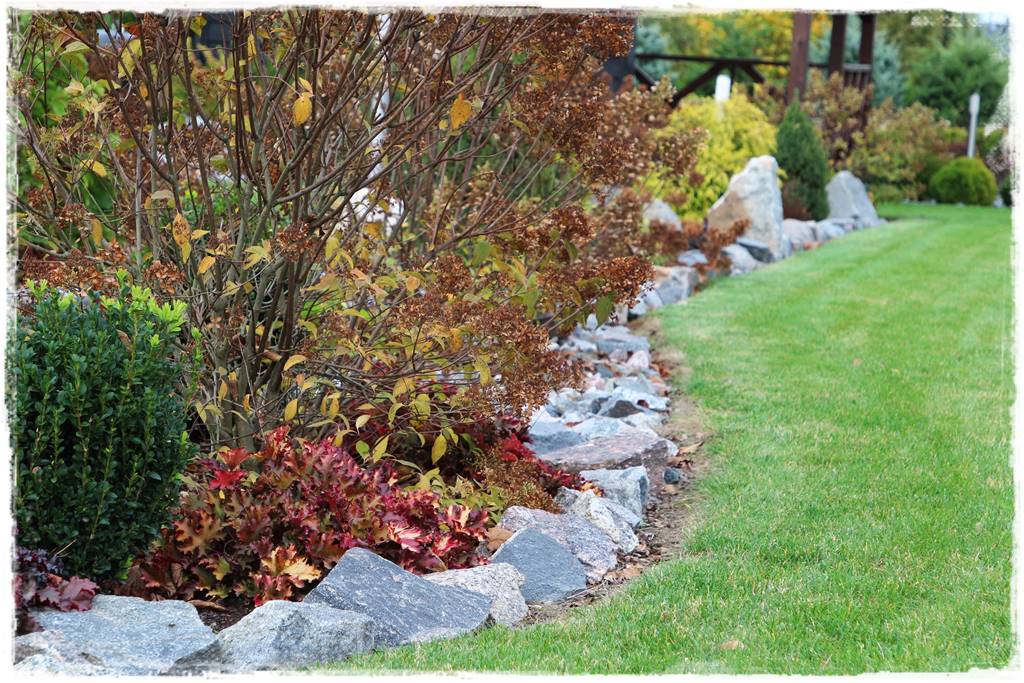 Żurawka w ogrodzie aranżacje 50f Żurawka w ogrodzie aranżacje 50f