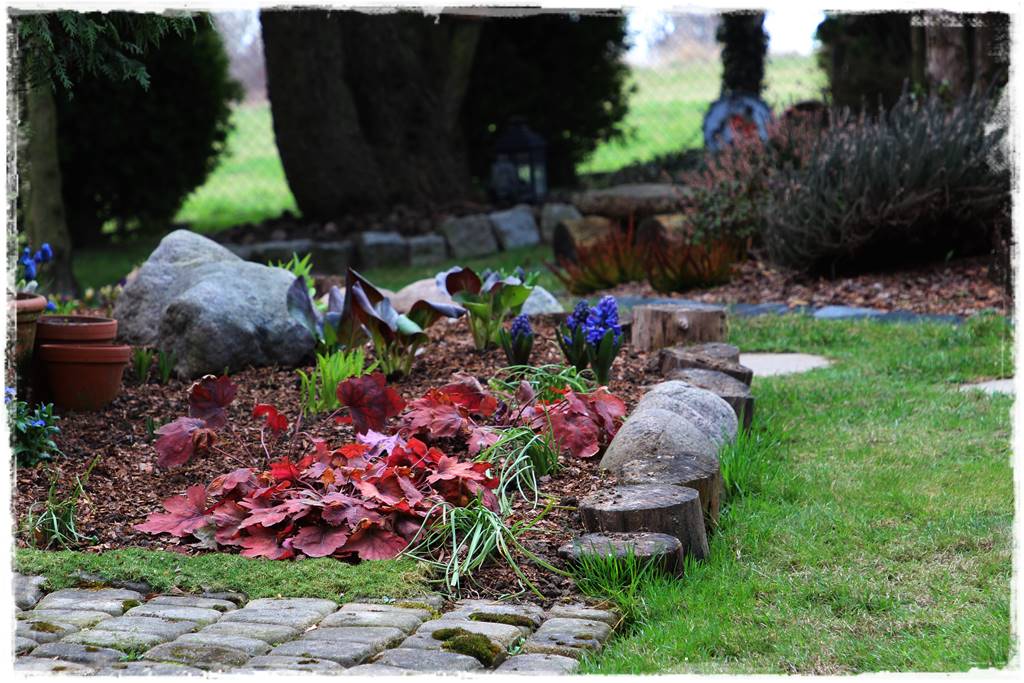 Żurawka w ogrodzie aranżacje 6 Żurawka w ogrodzie aranżacje 6