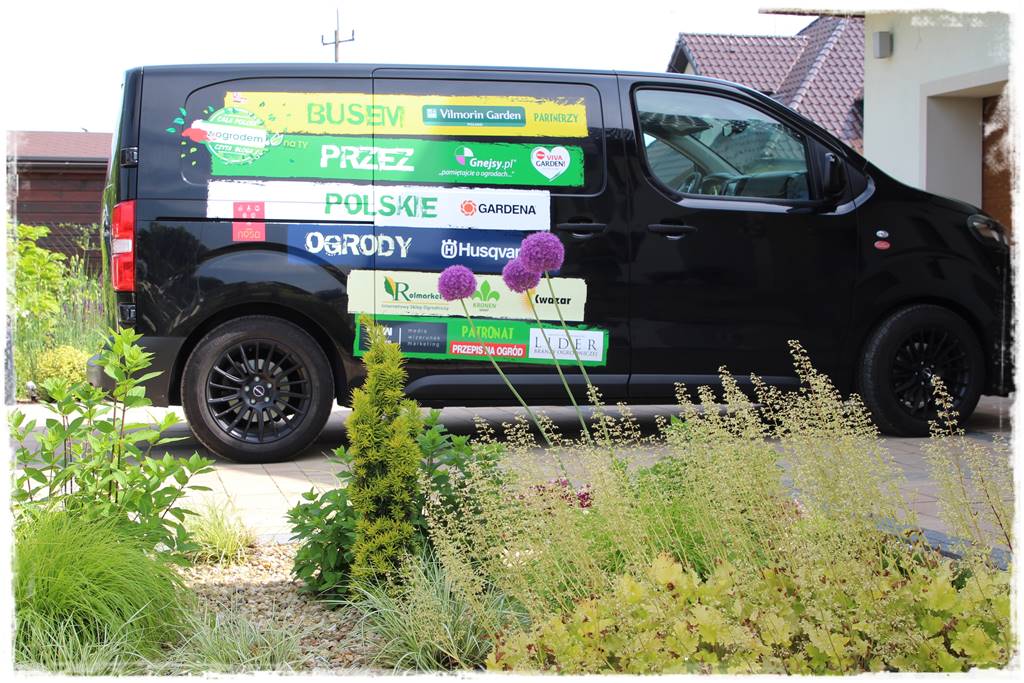 Żurawka w ogrodzie aranżacje 60b Żurawka w ogrodzie aranżacje 60b