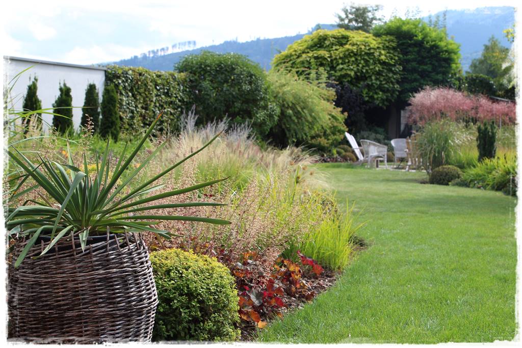 Żurawka w ogrodzie aranżacje 8 Żurawka w ogrodzie aranżacje 8