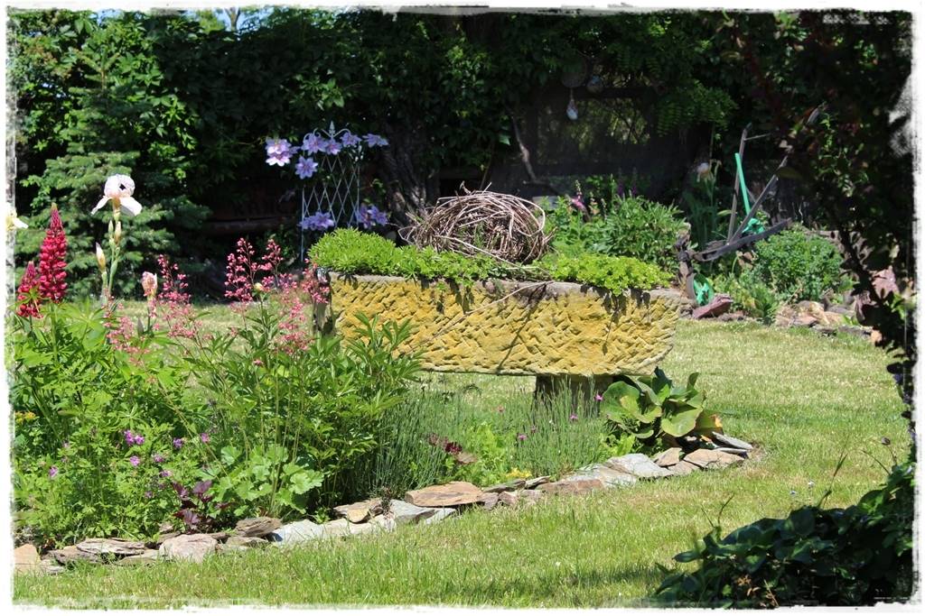 Żurawka w ogrodzie aranżacje 80