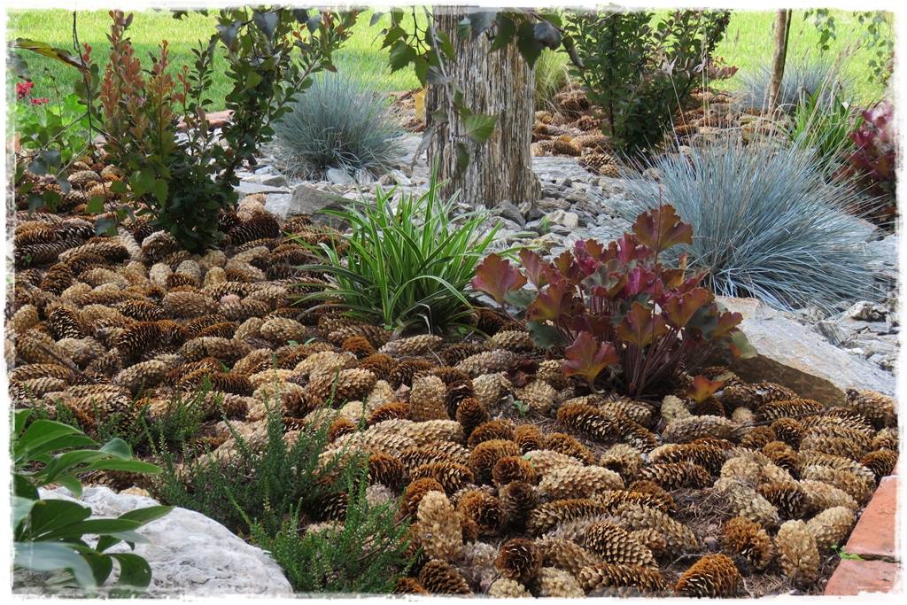 Żurawka w ogrodzie aranżacje 80b