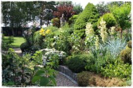 rabata przed domem 1