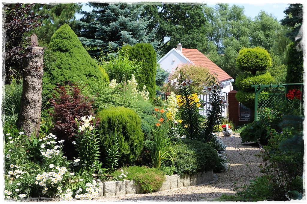 rabata przed domem 10 rabata przed domem 10