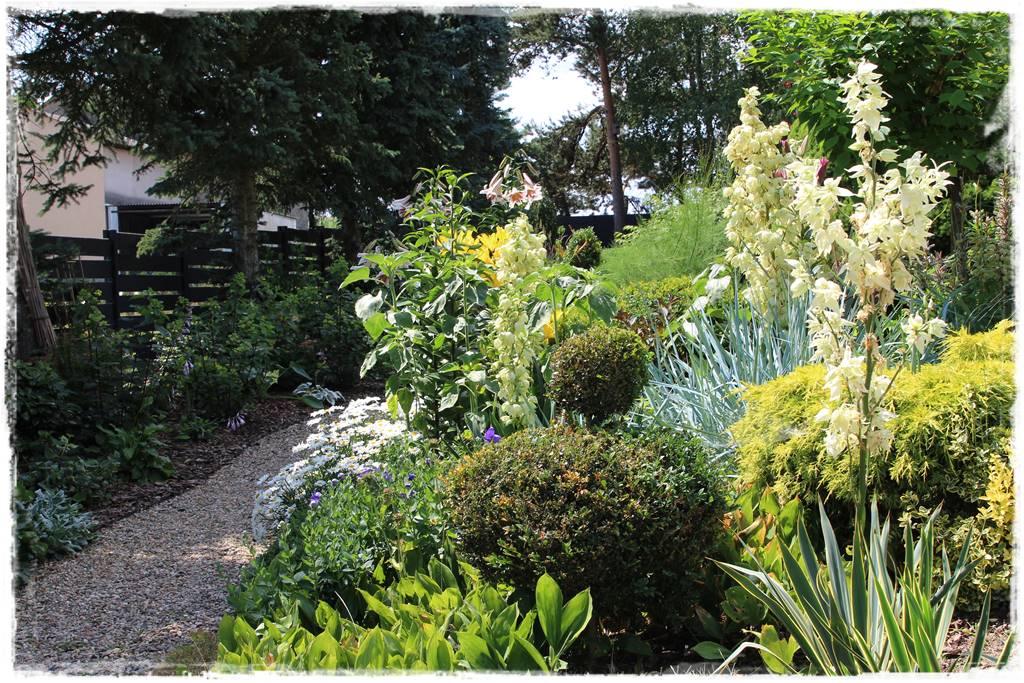 rabata przed domem 12 rabata przed domem 12