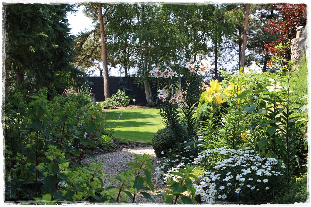 rabata przed domem 14 rabata przed domem 14