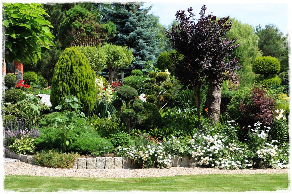 rabata przed domem 2