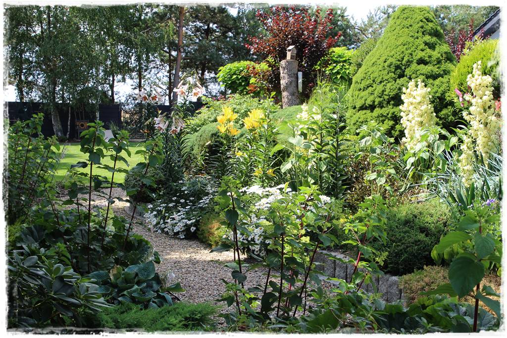 rabata przed domem 3