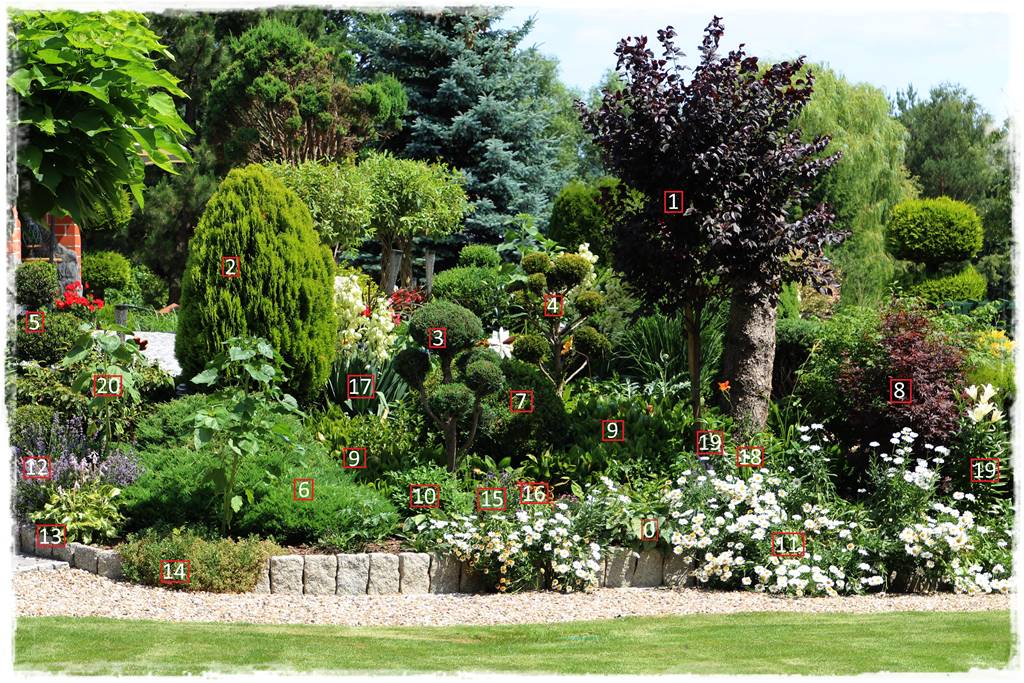 rabata przed domem 5