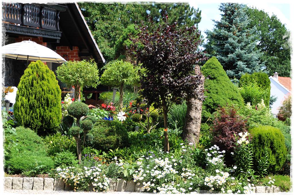 rabata przed domem 6 rabata przed domem 6