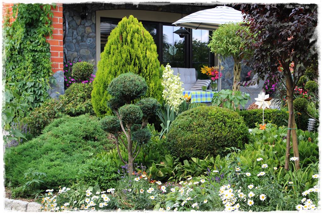 rabata przed domem 8 rabata przed domem 8