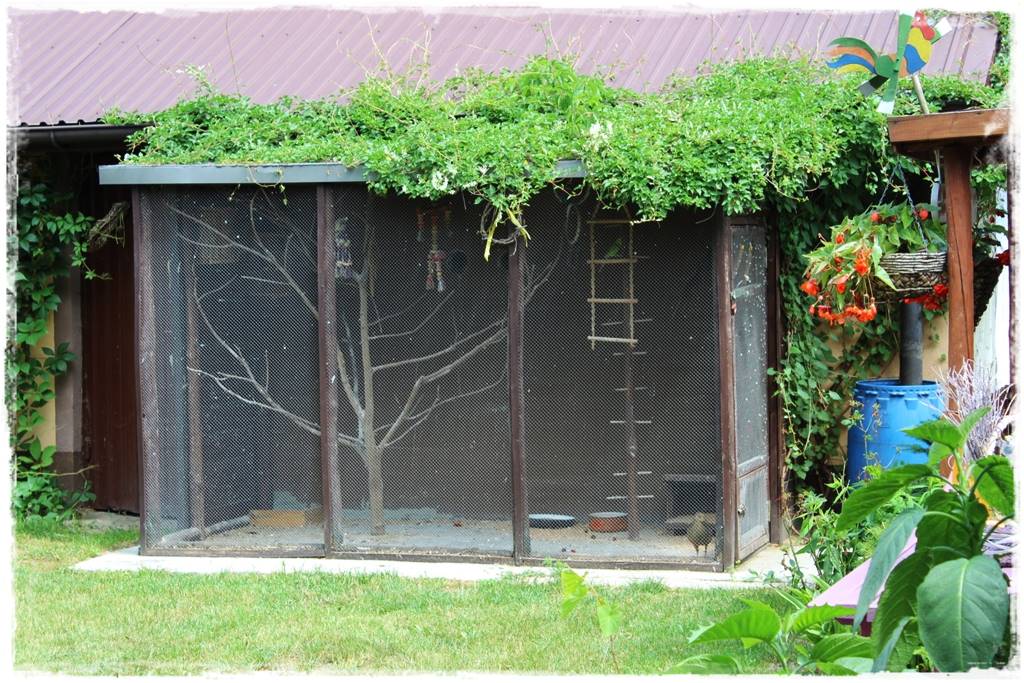 Aranżacja altan ogrodowych 69