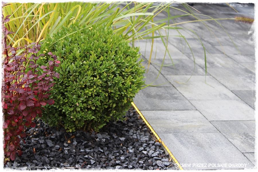 Aranżacja ogrodu nowoczesnego 12