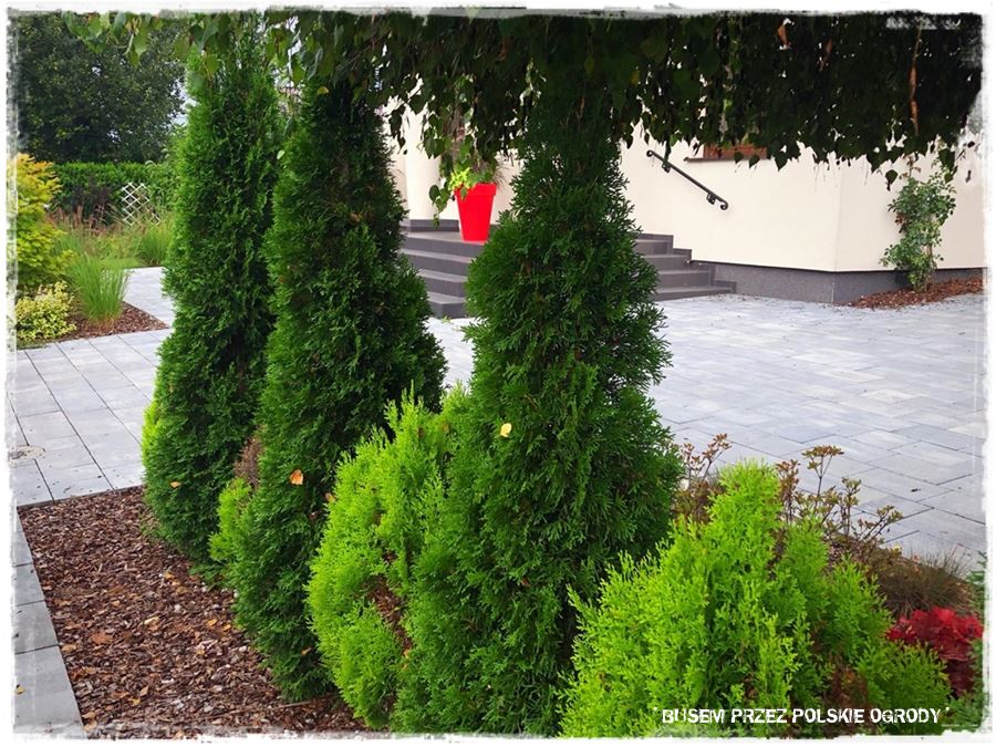 Aranżacja ogrodu nowoczesnego 13